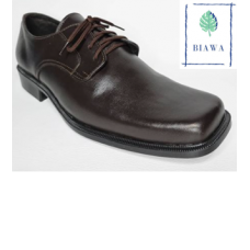 Biawa BE-109